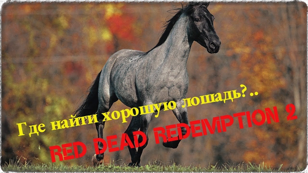 Как получить классную лошадь, если не поймали арабскую! - Red Dead Redemption 2