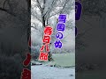 雪国の女 春日八郎...人生の想い出の唄(悲しかった、楽しかった、嬉しかった...当時の想い出)......人生を一緒に楽しみましょう。。 #哀愁 #若い頃 #72歳 #昭和歌謡カバー