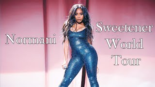 Normani - Live At The Sweetener World Tour - Filmed By You