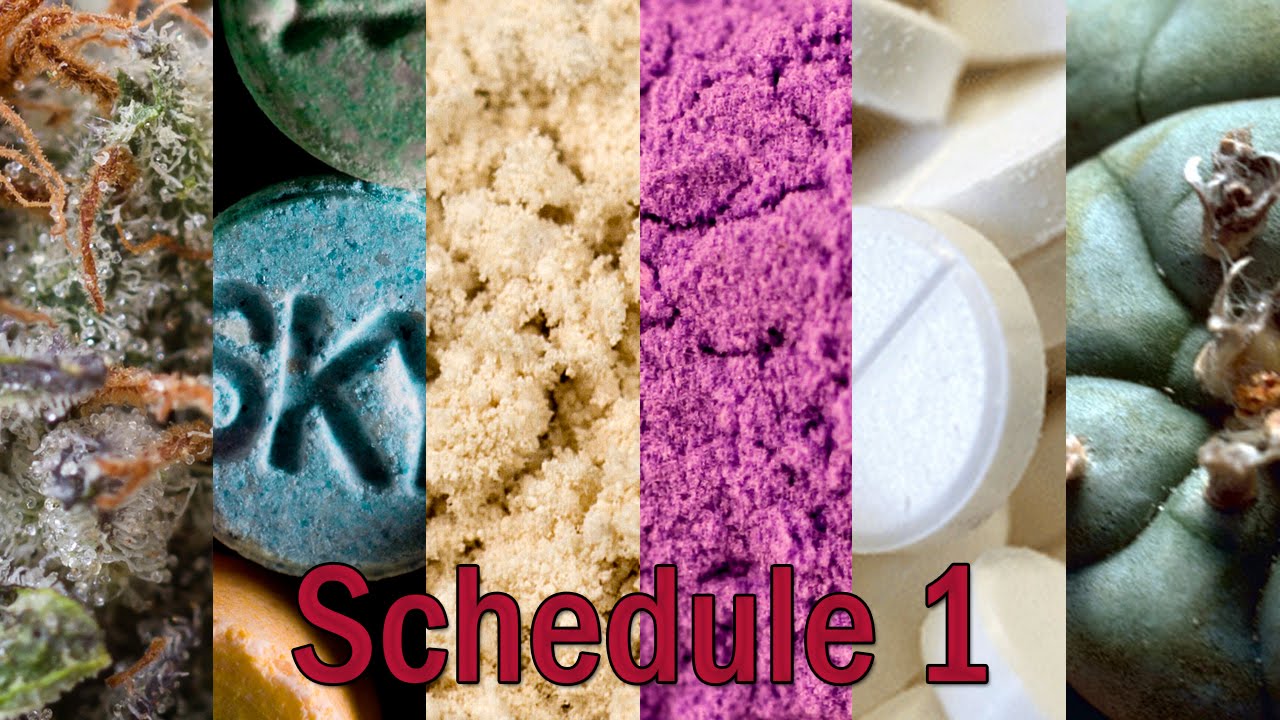 DEA May Reschedule Cannabis This Year