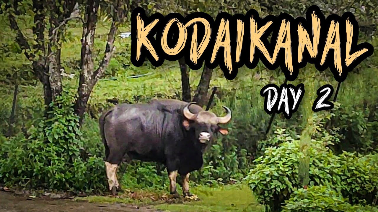 Monsoon Ride to Kodaikanal on Dominor 400 || Day 2