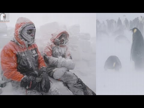 Video: ¿Cuál es la temperatura en la Antártida?