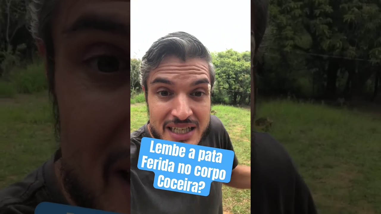 CURA DEFINITIVA PARA DERMATITE E COCEIRA NA PELE OU LAMBEDURA DOS CÃES SÓ RESOLVE DESTA FORMA