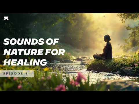 Healing Sounds of Nature for Inner Peace and Wellness
