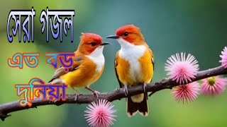 সেরা গজল l এত বড় দুনিয়া l Sayra Gazal l Ato Boro Duniay l MD Masud Rana l 2024 Bangla Gazal