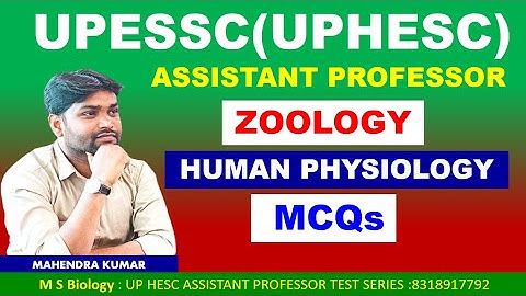 #UPHESC ASSISTANT PROFESSOR TEST SERIES#ZOOLOGY#PRACTICE SEREIES#MCQS#UPESSC#DIGESTIVE# PHYSIOLOGY