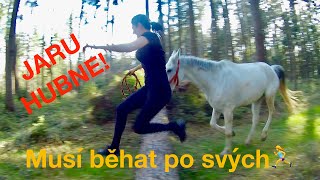 Jaru hubne! Musí běhat s koněm po svých 🏃‍♀️🐎 Kondice, strečink, zábava i práce ze země v jednom😀