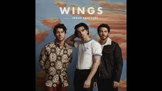 Jonas Brothers - Wings (Extended Alternate Version)