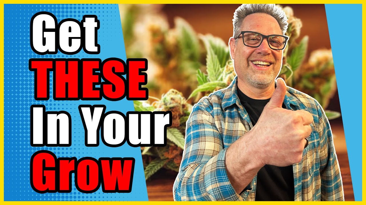 Don’t Sleep on THESE Inexpensive Cannabis Grow Boosters