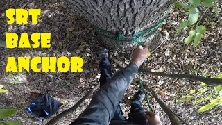 SRT Base Anchor _ White Oak First Ascent _ Recreational Tree Climb