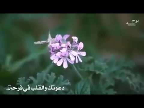 دعوتك ربي ومن لي سواك فيارب حقق دعا من دعاك