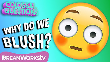 Why Do We Blush? | COLOSSAL QUESTIONS