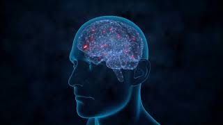 Why Your Brain Feels Different — Discover the Neurodiversity Self-Assessment