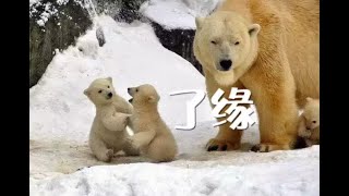201308 了缘10651