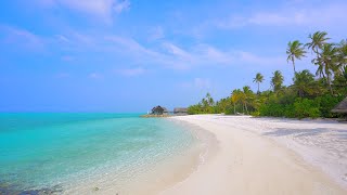 🏝 Paradise Found: Maldives Beach and Crystal Turquoise Waters. Ocean 4K Ultra HD