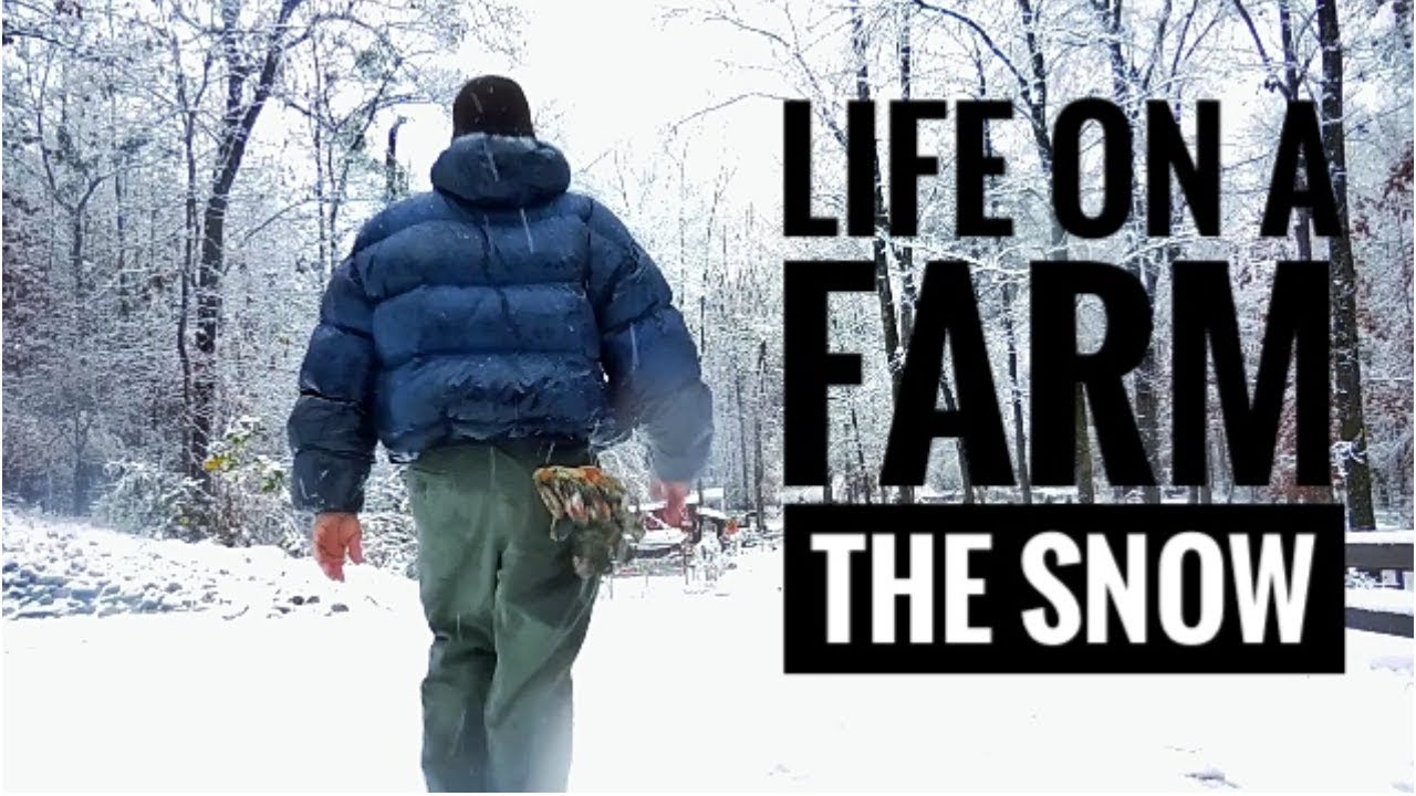 Life On a Farm - Handling the Winter Snow on the Homestead - YouTube