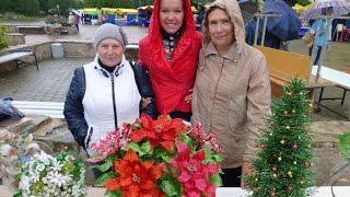 18. День города Верхняя Пышма - 2014. Выставка цветов и деревьев из бисера. 18. День города Верхняя Пышма - 2014. Выставка цветов и деревьев из бисера.
