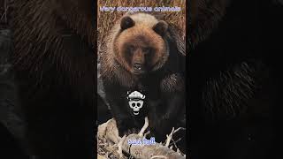 Very dangerous animals 🐕#power of transformation #petlover #editing #video