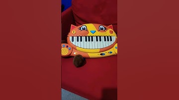 #jeffy #sml #viral #smljeffy #funny #meme #puppet