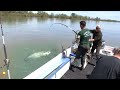 Pecanje soma na bućku u Italiji na reci Po | Fishing big catfish in Italy