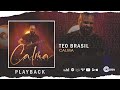 Teo Brasil - Calma | Playback