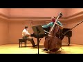 Andres velatubin bass concerto