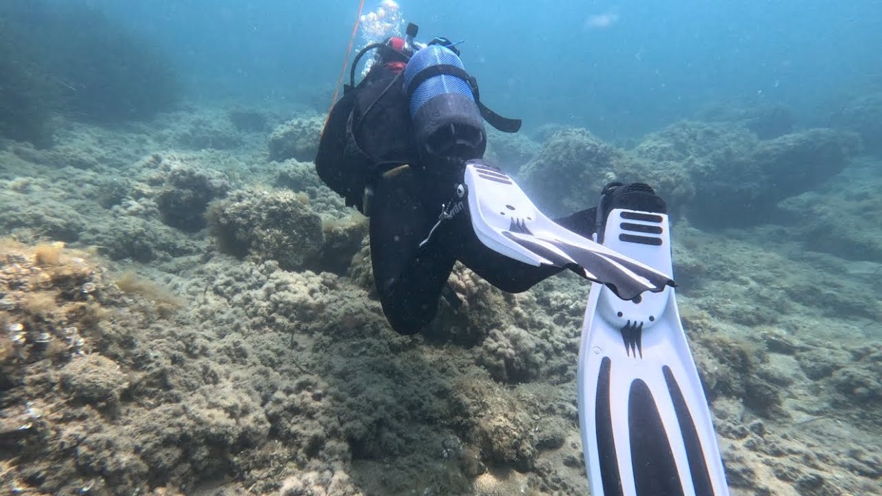 Diving Italy 27.6, shore