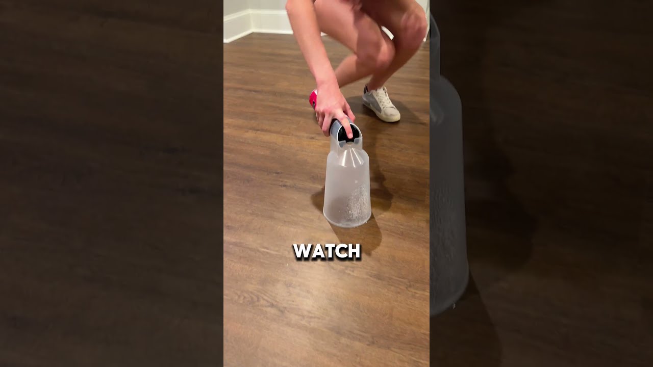 How To Easily Get Rid Of Cockroach Infestation Trapdbugs 