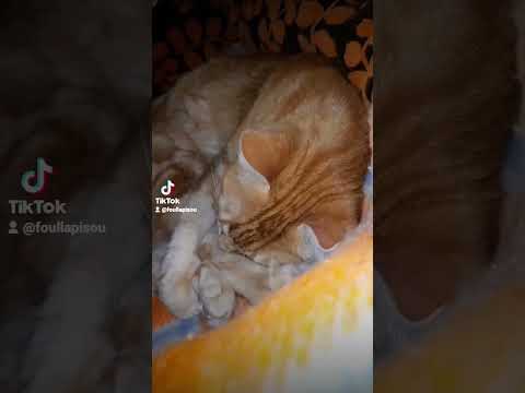 كنت أجد نفسي بقربك لكني ضيعتها حين فقدتك يا قلبي