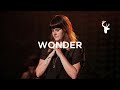 Wonder (Spontaneous) - Amanda Cook | You Make Me Brave