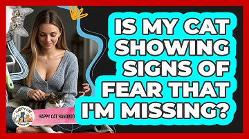 Is My Cat Showing Signs Of Fear That I