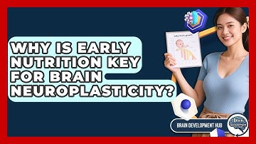 Why Is Early Nutrition Key For Brain Neuroplasticity? - Brain Development Hub
