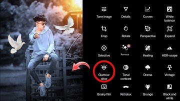 Snapseed Grey And Bird Effect Photo editing 🕊️ Background Colour Change Face Smooth Tutorial 😱