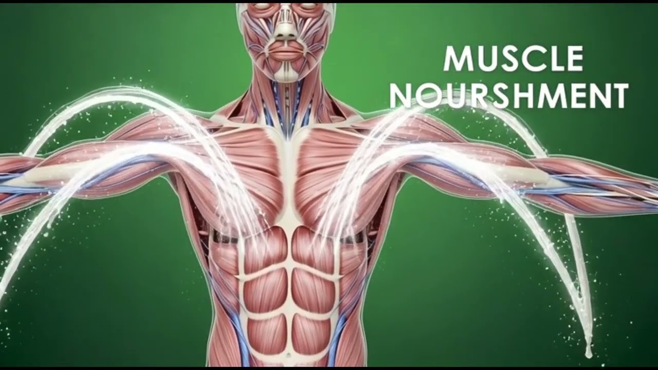 “What Happens when You Drink Milk?”