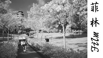 #90 Rollei Infrared 400 (IR 720nm filter VS no filter)
