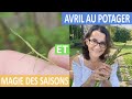 Avril au potager et magie des saisons