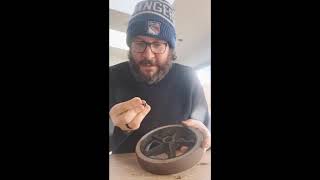How do I replace the bearings of a Days tri-wheel walker?
