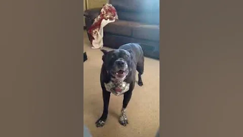 GrowlingGame