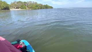 Kayaking with the Manatees