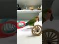 Bird Training:smart lovebird parrot l smart little cute parrot #training#smartparrot#cute