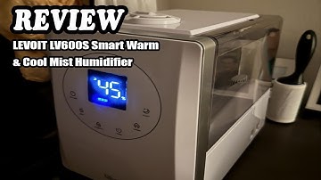 Review LEVOIT LV600S Smart Warm & Cool Mist Humidifier 2024 - Is It Worth It?