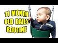11 Month Old Daily Routine