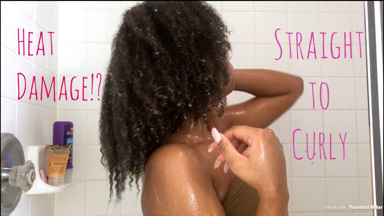 REVERT FROM STRAIGHT to CURLY NATURAL HAIR | HEAT DAMAGE? BREAKAGE?