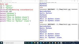 Celebrity Python class 9 - String Handling in Python Wealth
