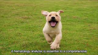 Getein Animal BHA-5000 Vet Brief Introduction