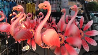 What Is The Meaning Of A Pink Flamingo In Your Yard??