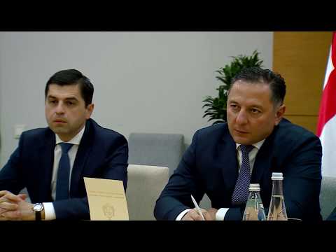 ვახტანგ გომელაური ევროკავშირის წევრი ქვეყნების ელჩებსა და დელეგაციის ხელმძღვანელს შეხვდა