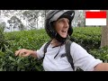 Exploring The Hills of PUNCAK, West Java