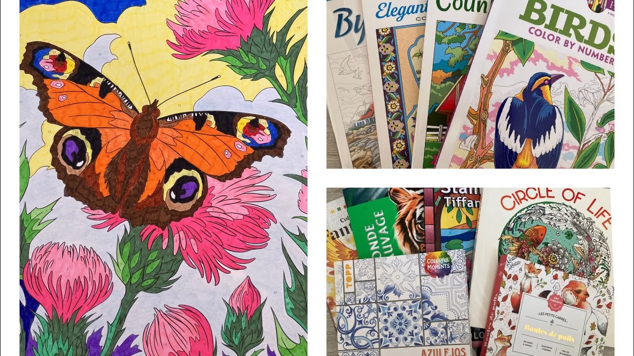 Раскрашенные работы за Июнь 2024/ Completed coloring pages June 2024