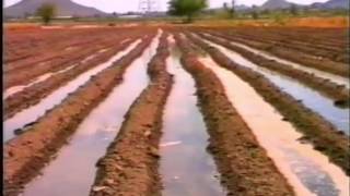Saving Water in Agriculture Surface Irrigation - Spanish audio
